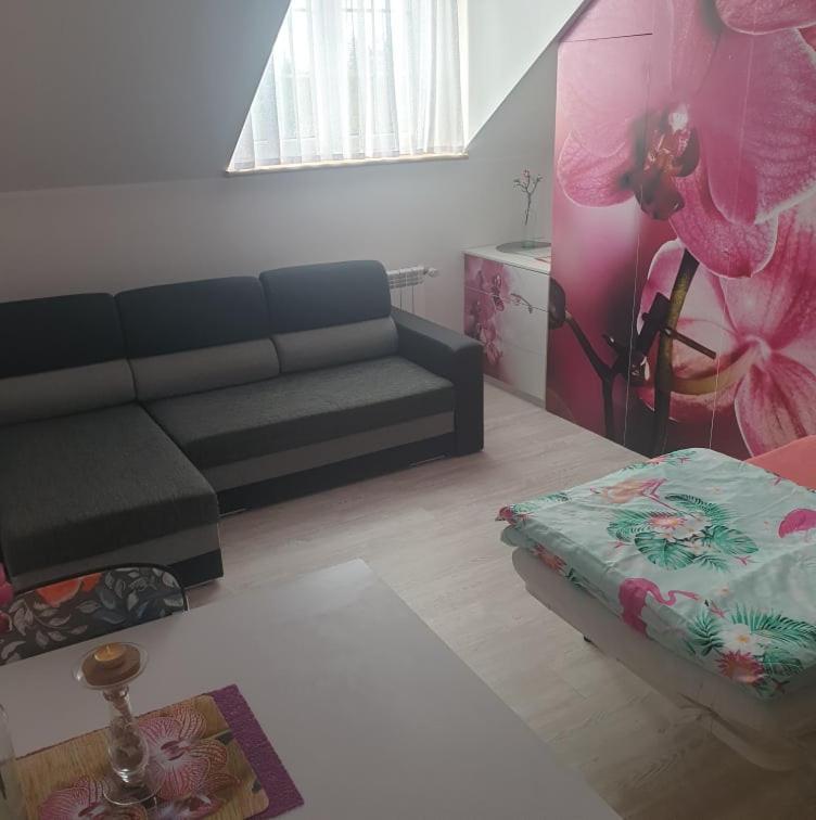 Dom Goscinny Vollare Ujście-Darłowskie Dış mekan fotoğraf